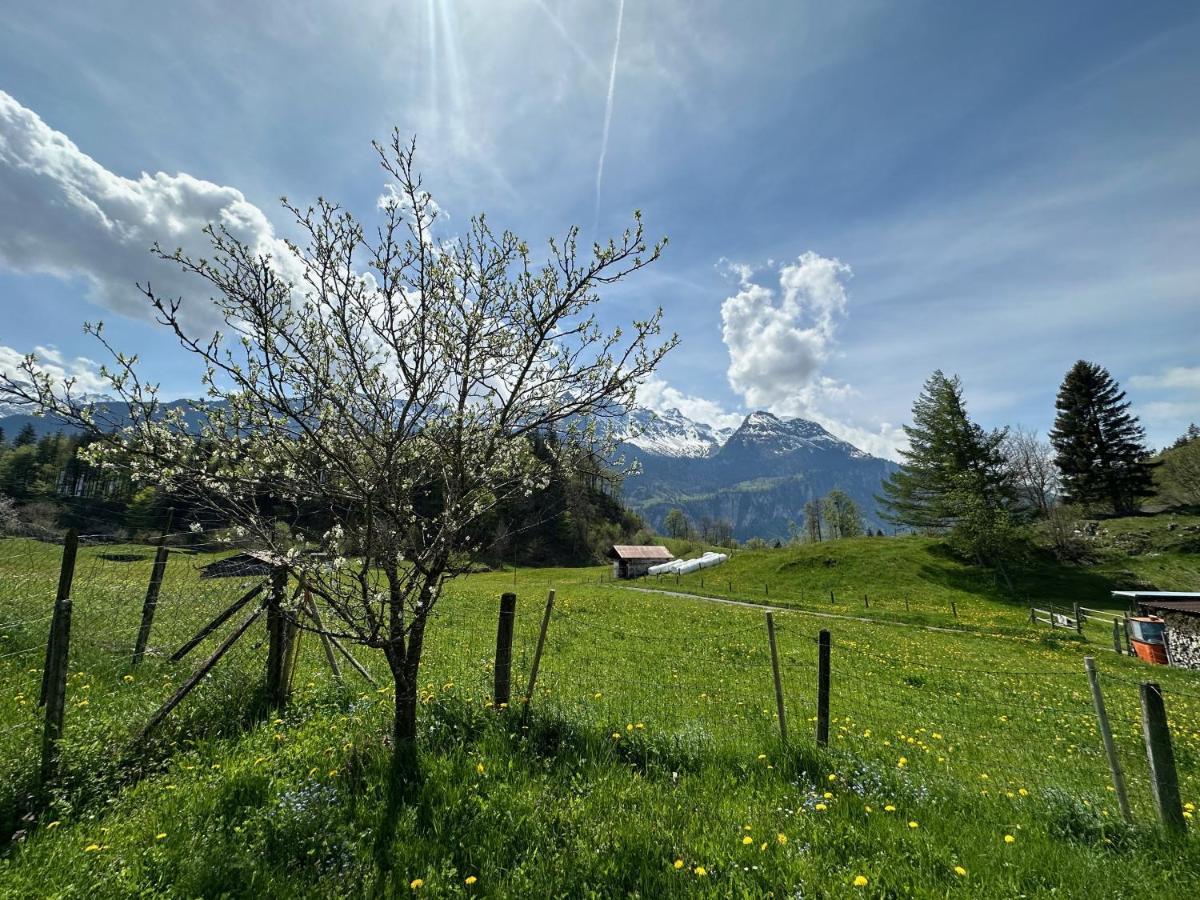 Chalet Bruenig Meiringen Zewnętrze zdjęcie