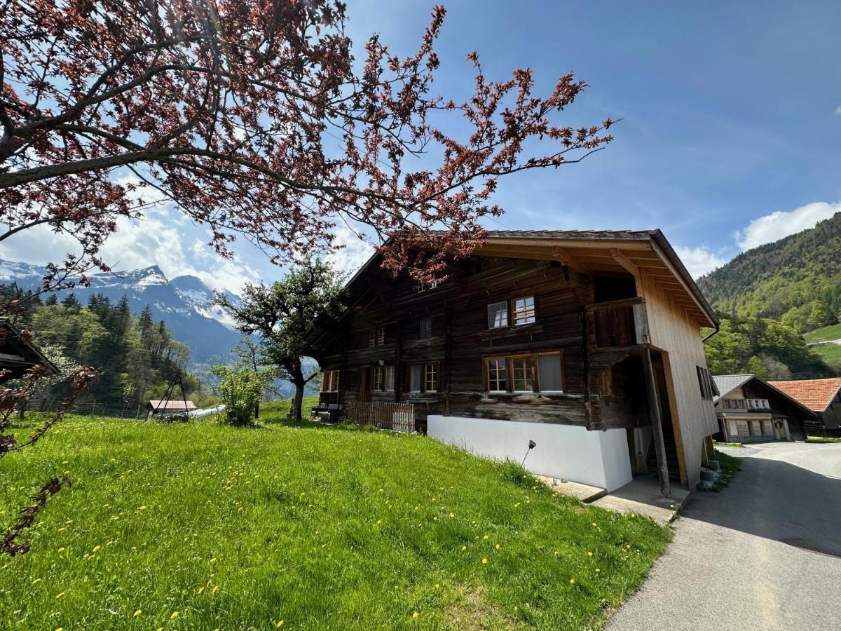 Chalet Bruenig Meiringen Zewnętrze zdjęcie