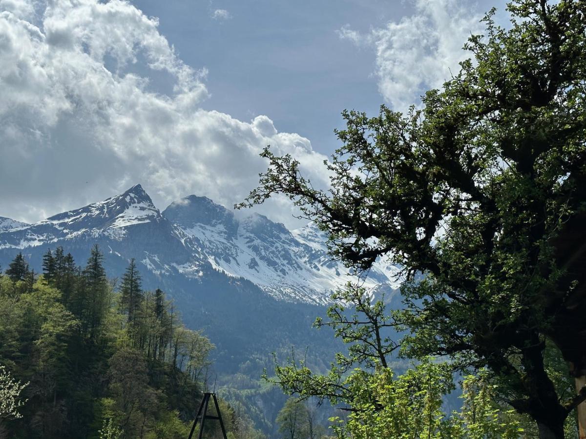 Chalet Bruenig Meiringen Zewnętrze zdjęcie