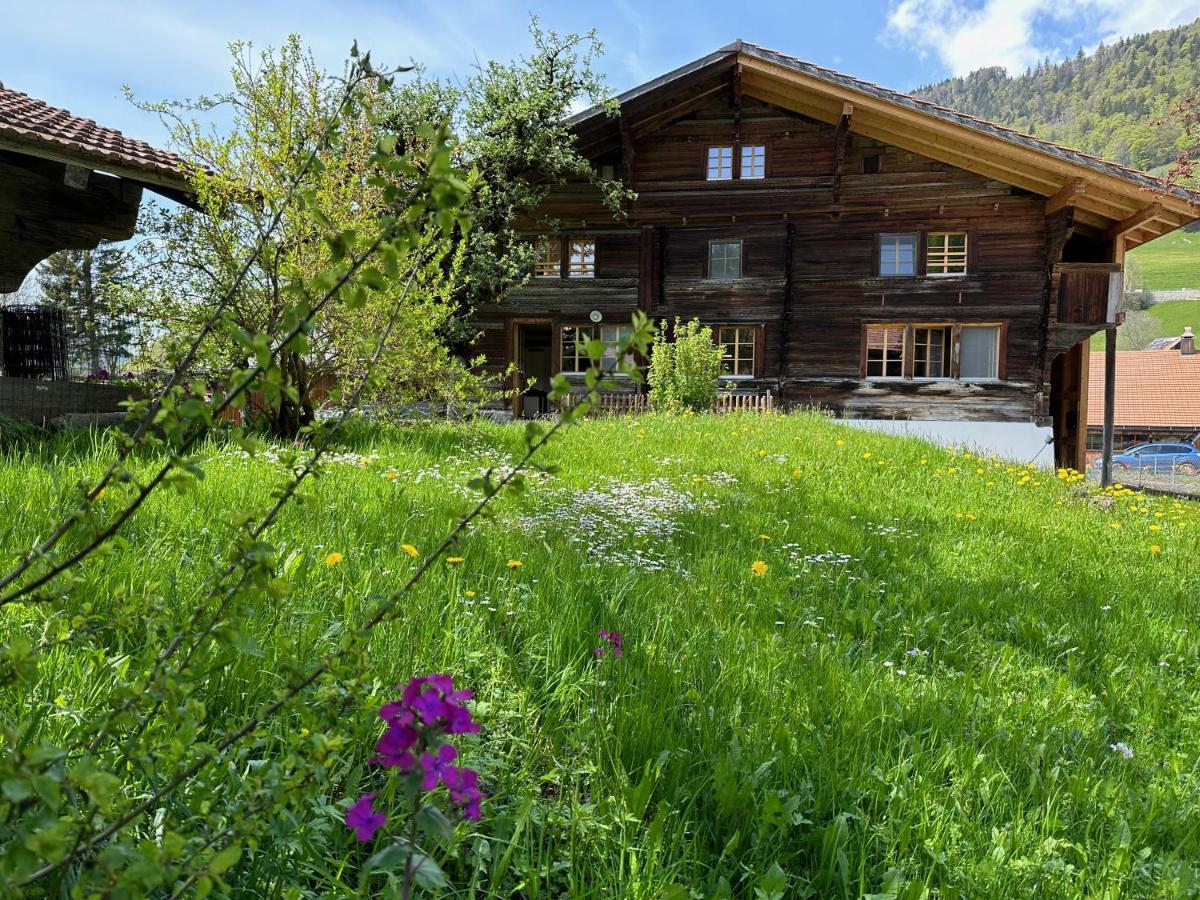 Chalet Bruenig Meiringen Zewnętrze zdjęcie