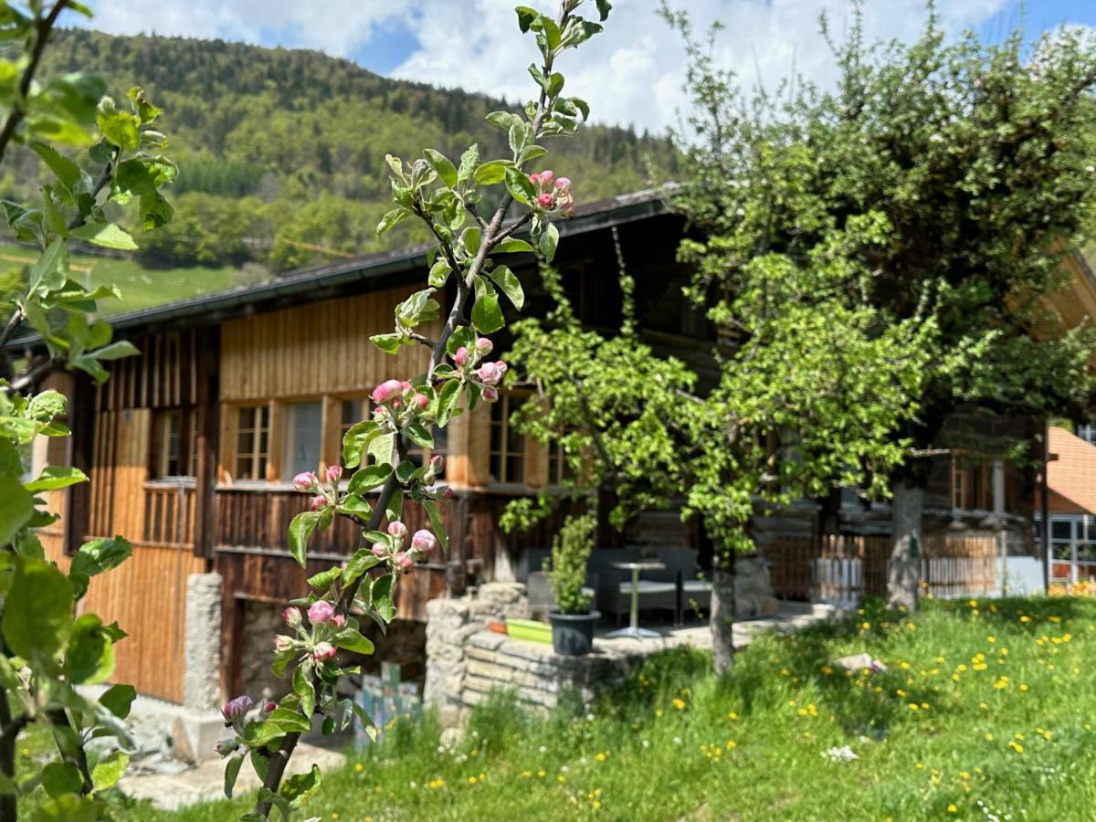 Chalet Bruenig Meiringen Zewnętrze zdjęcie