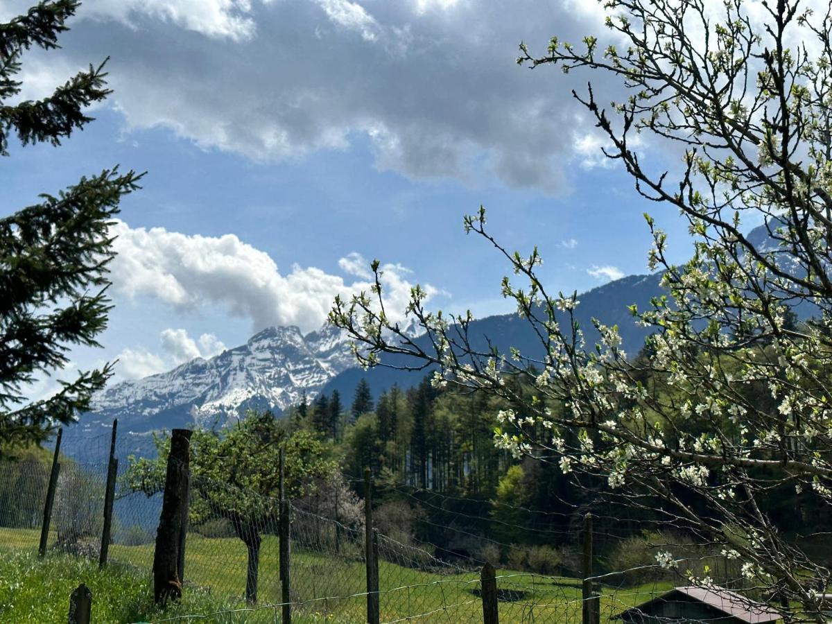 Chalet Bruenig Meiringen Zewnętrze zdjęcie