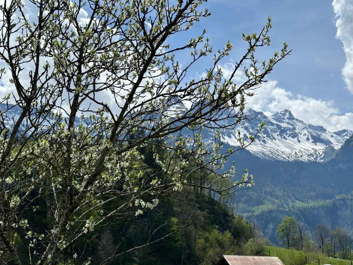Chalet Bruenig Meiringen Zewnętrze zdjęcie