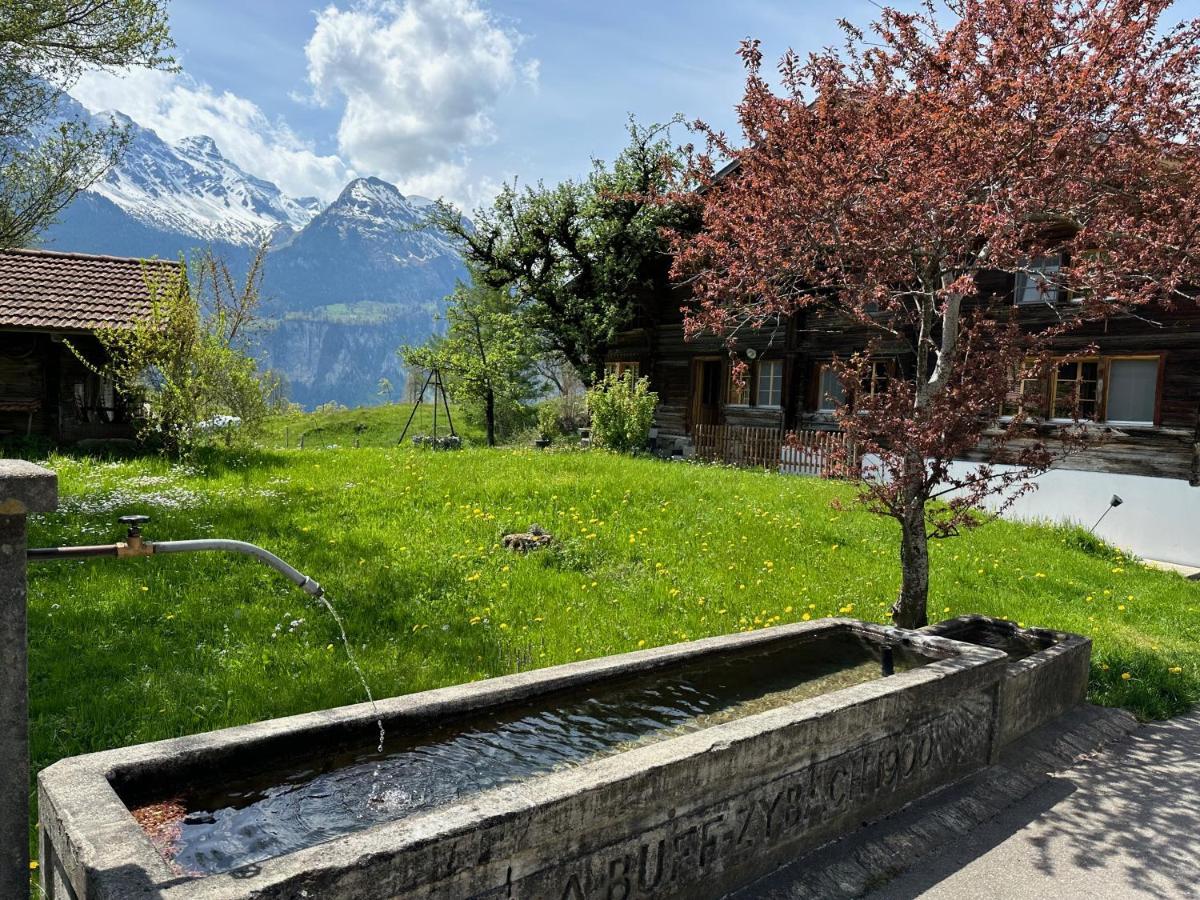 Chalet Bruenig Meiringen Zewnętrze zdjęcie