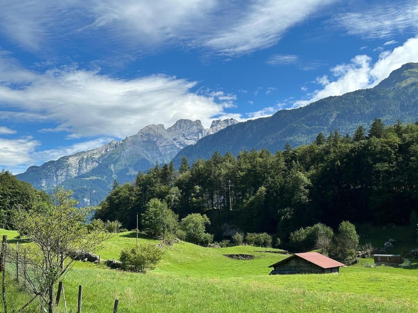 Chalet Bruenig Meiringen Zewnętrze zdjęcie
