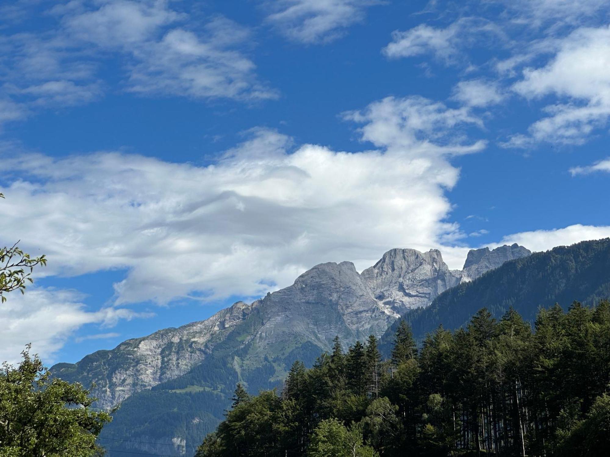 Chalet Bruenig Meiringen Zewnętrze zdjęcie