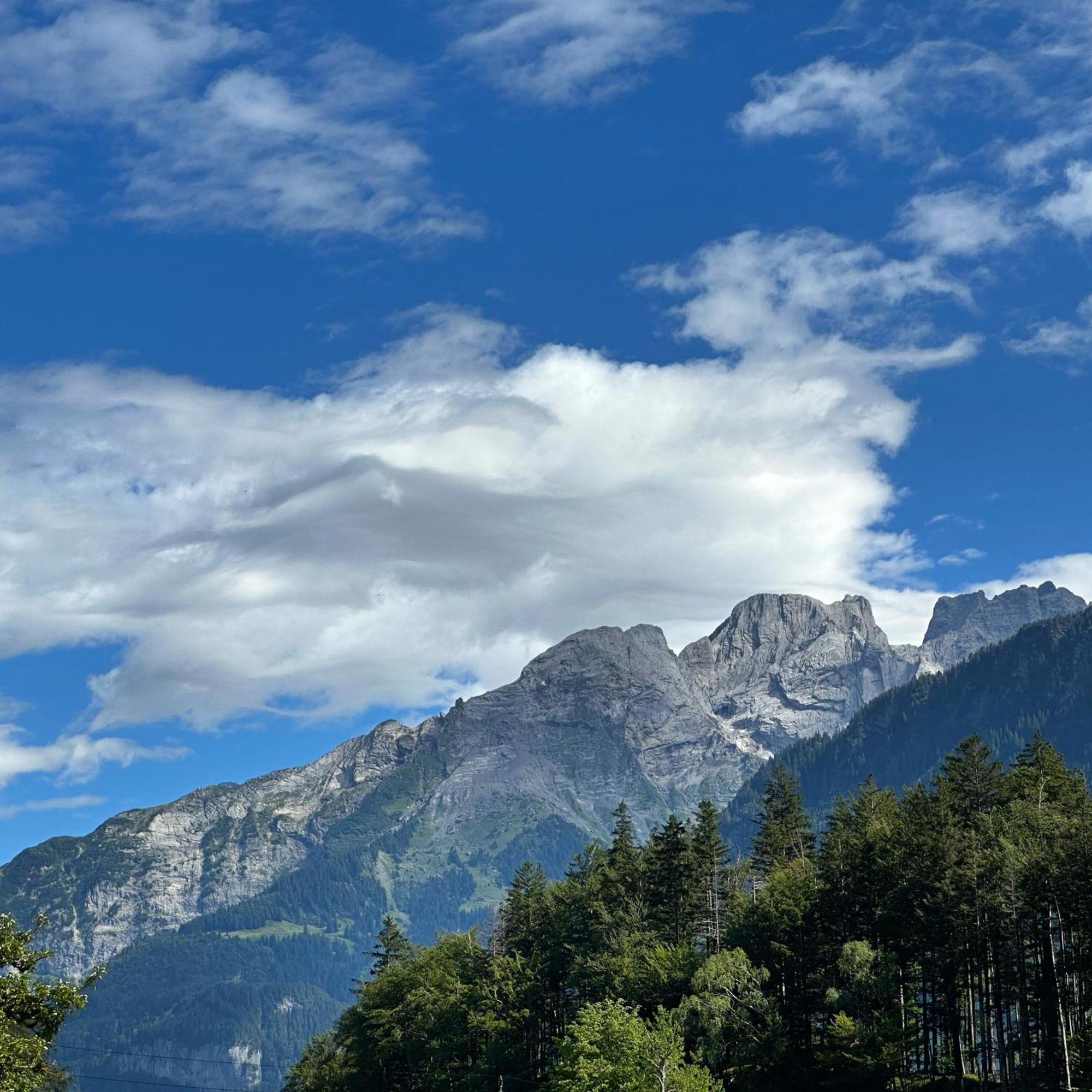 Chalet Bruenig Meiringen Zewnętrze zdjęcie